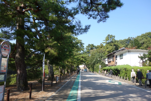 彦根城への道