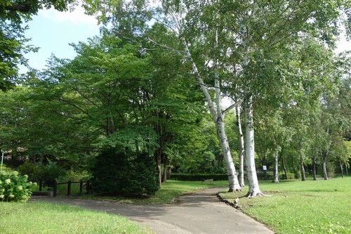 公園内風景