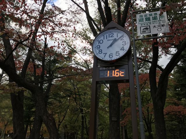 円山公園の温度計