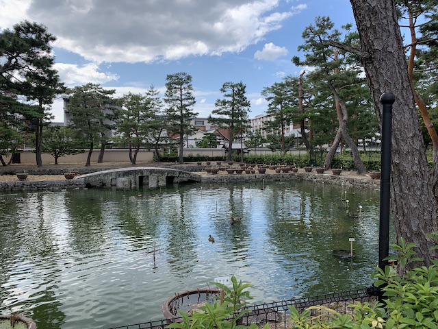 相国寺の池