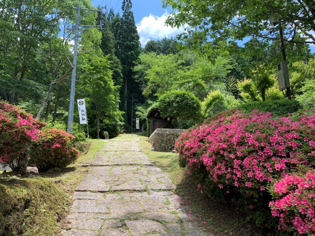 登山スタート