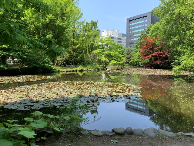 中島公園
